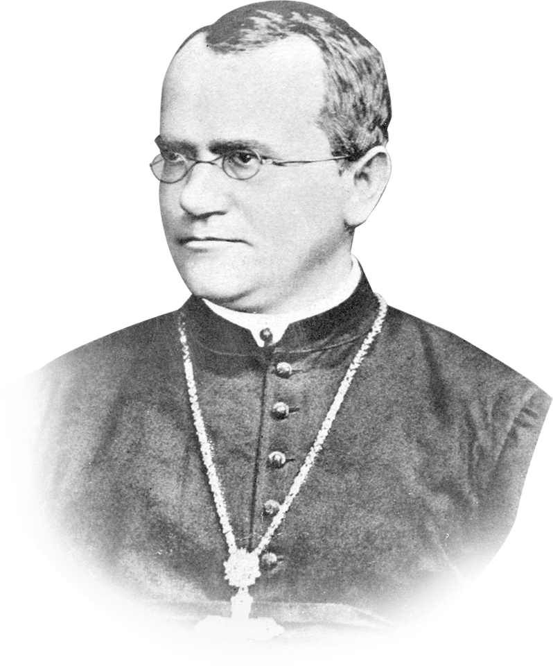 Gregor Mendel