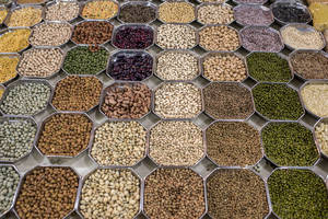 Rows of dishes full of pulses; beans, lentils, chickpeas and more