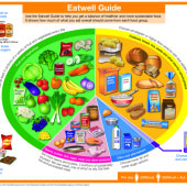 Thumbnail of the UK's new Eatwell Guide