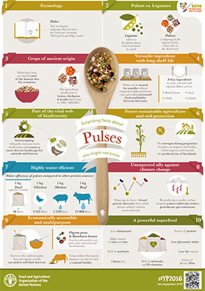 Infographic: Surprising facts about pulses you might not know