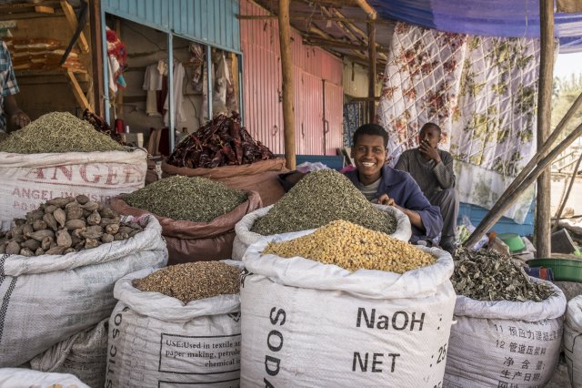 Ethiopia Pulses