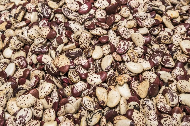 Ethiopia Pulses