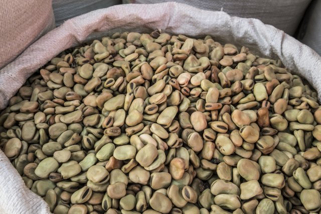 Ethiopia Pulses