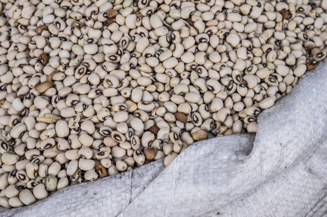 Mali Pulses