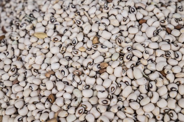 Mali Pulses