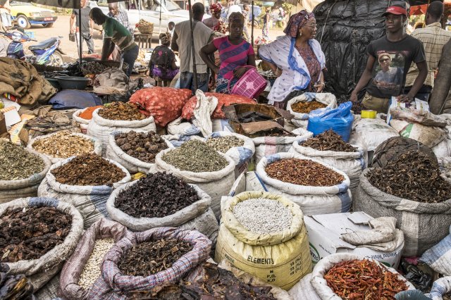 Mali Pulses