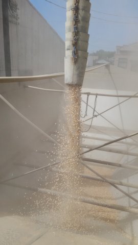 USA Harvest