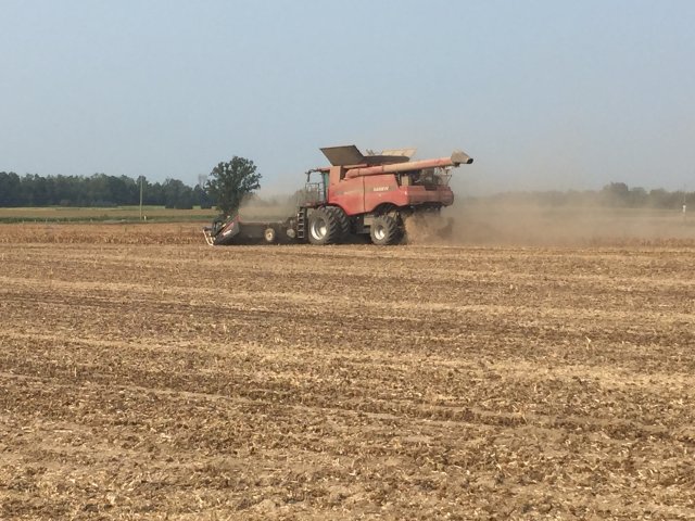 Harvest
