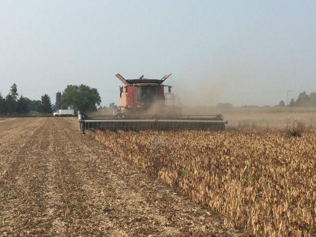 Harvest