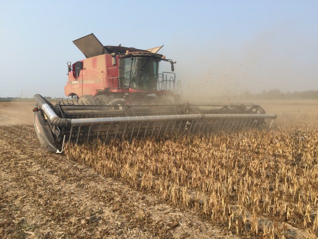 Harvest