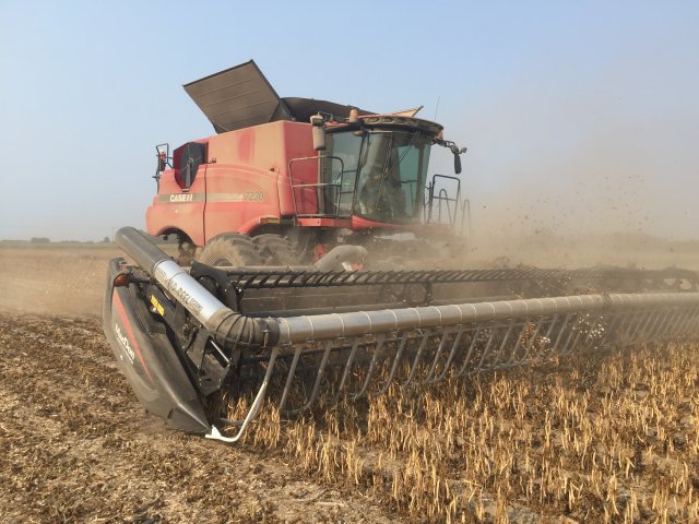 Harvest