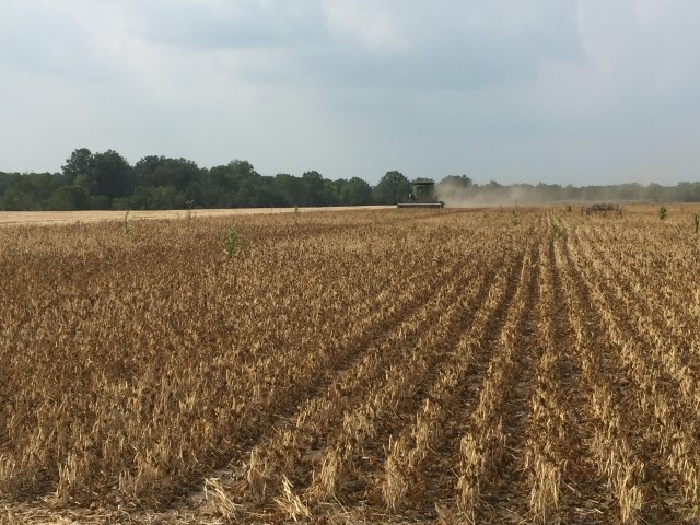 Harvest