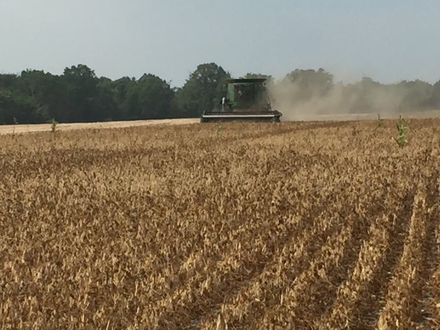Harvest