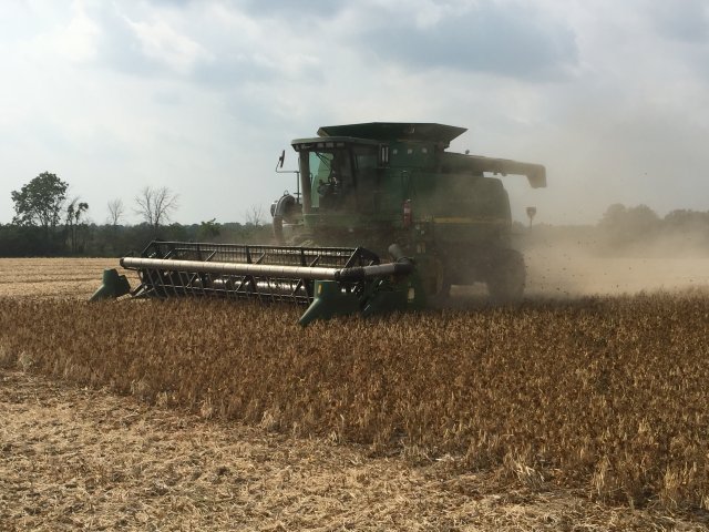 Harvest