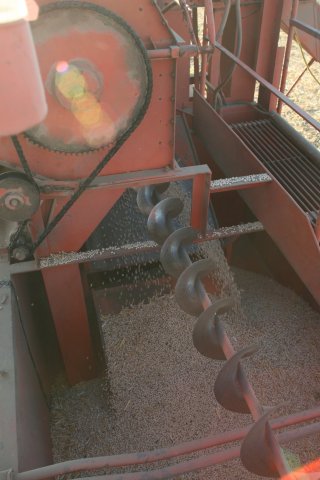 USA Harvest