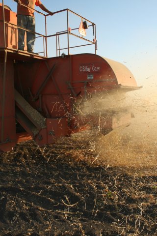 USA Harvest