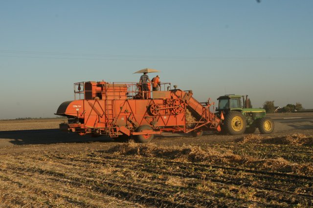 USA Harvest