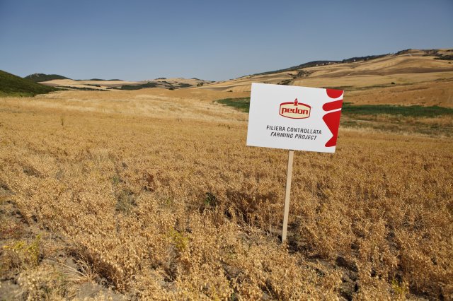 Lentils - Italy