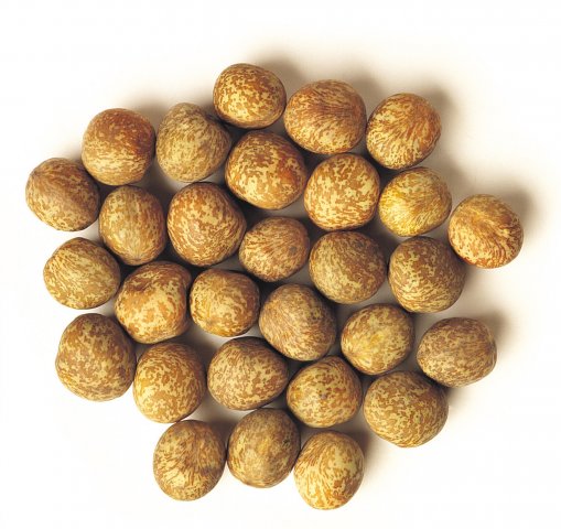 Maple peas