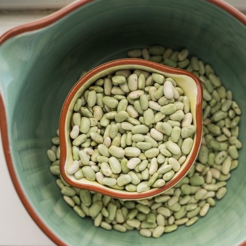 Fageolet_beans-1902