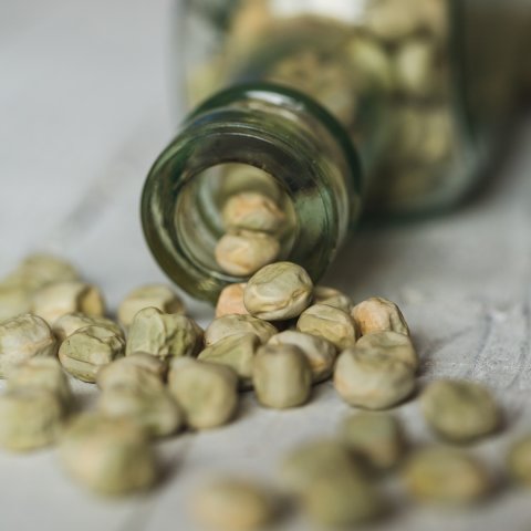 Kabuki_peas-4730
