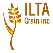 ILTA Grain